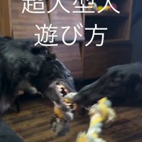 すべてがパワフルで魅力的！！