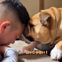 男性の頭に顔をくっつける犬