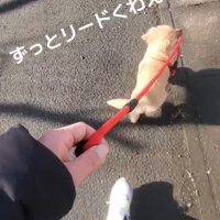 完全に立場が逆転（笑）