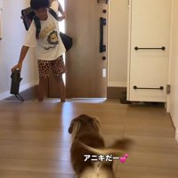 子供を出迎える小型犬
