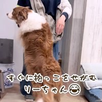 一生懸命おねだり
