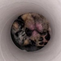くるくる回って…