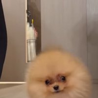 パパさんについて行って…