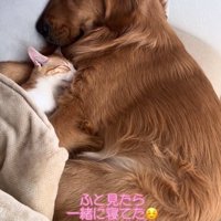 一緒に寝るチョコビくんと諭吉くん