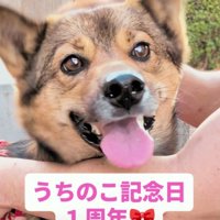 こんなに変わったよ！！
