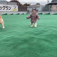 水を飲ませるのもお手の物！