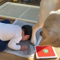 転んでしまいました！