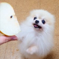 喜びの舞