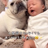 あくびがうつるほど仲良しな2人♪