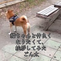 寂しそうな背中