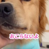 テンションダダ下がり…
