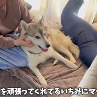 マッサージで冷静に…