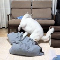 豪快に転倒！！