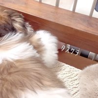 おもちゃが取れないおとちゃん2