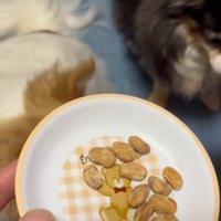 フリーズドライ納豆なら？