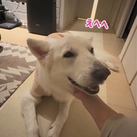 れお君の表情の変化⑩