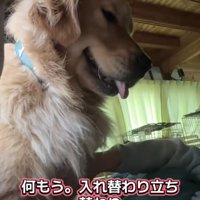 女性のそばに座る犬