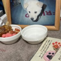 お供え物が消えている！？