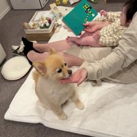 家族団らんっていいなあ…♡