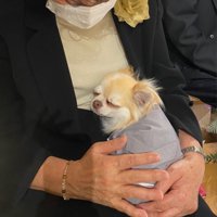 サイズ