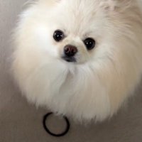 「探してたの、これでしょ？」