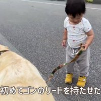 ゴンちゃんのお散歩に挑戦