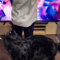 ななちゃんが寄ってきた