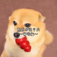 あずきちゃんの歓迎ぶりの差2