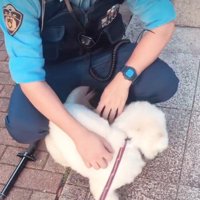警察官が大好き！！