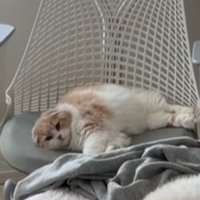 ぬっくぬく。