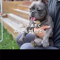抱っこされる犬1