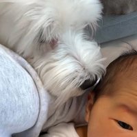 念入りに匂いをチェック