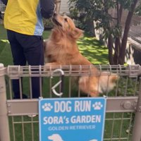 そら君とブリーダーさんの再会4