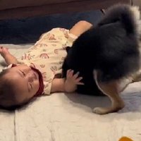 なかなか成功しない…