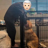 仲睦まじいふたりでした