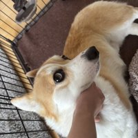 イケメン