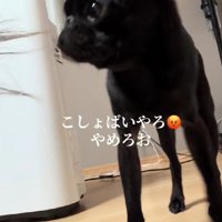 とってもラインが綺麗