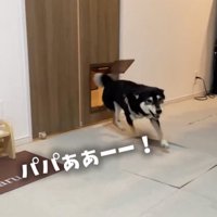 「会いたかったぁぁ」