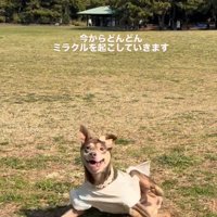 突然立ち上がろうとした