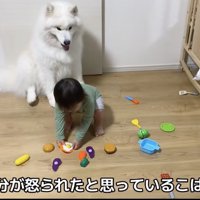 「ごめんよ…」