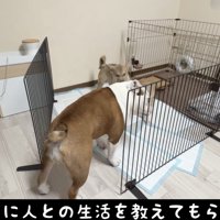 少しずつ、たくさんのことを教わります