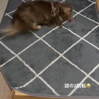 うみさん、踏ん張りました