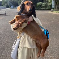 サイズ感がおかしい写真