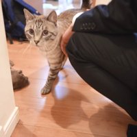 ぽんすけ君に会いに行ってみたら…