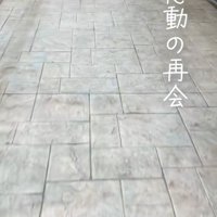 喜ぶ柴犬