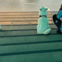 看板犬が寄り添う