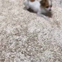 準備をしていなかった…