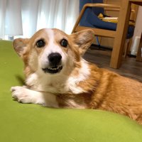 お母さんに触ろうとしたら…