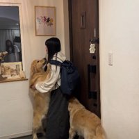 「会いたかったよ～」