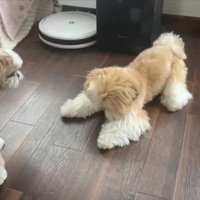 探す